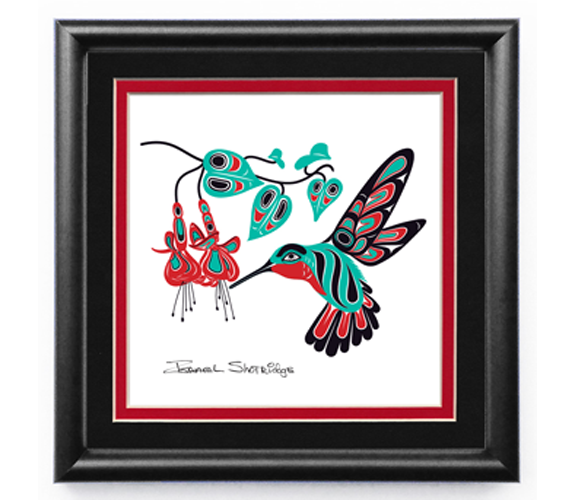 Israel Shotridge - "Hummingbird & Fuchsia"  Framed Northwest Coast Native Print