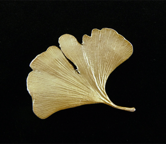 Childhood's End Gallery | Bronze Ginkgo Pin by Silver Seasons | Olympia ...