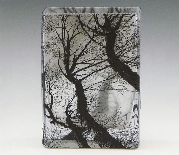 Childhood S End Gallery Mary Melinda Wellsandt Etched Glass